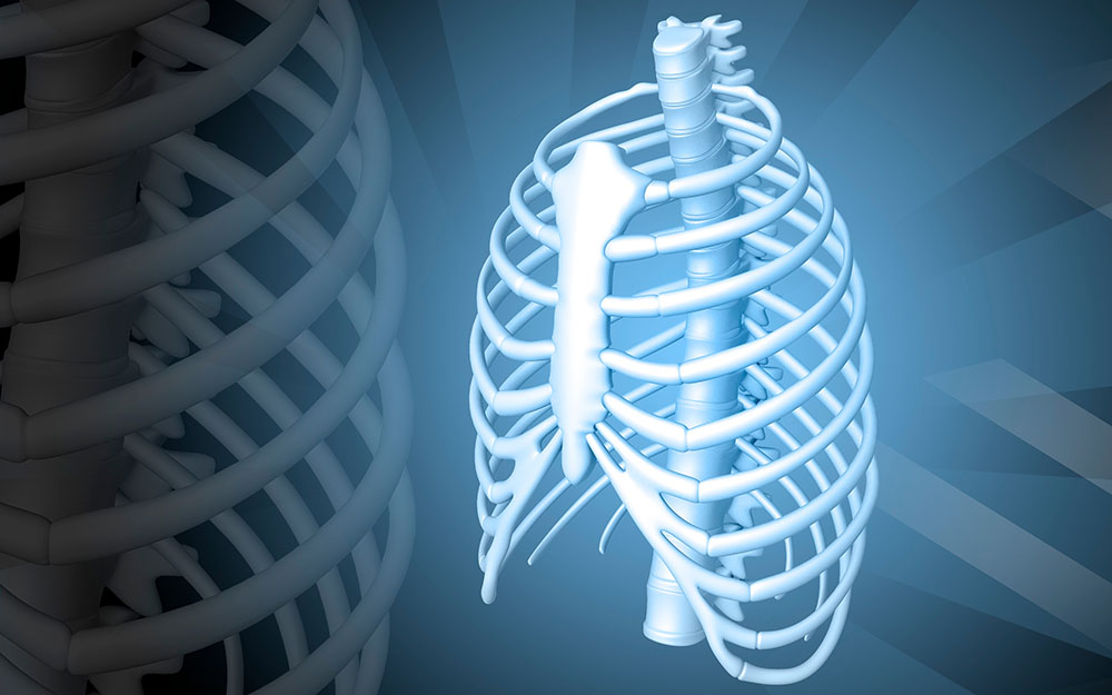 Rib Pain & Dysfunction Zenith Physio